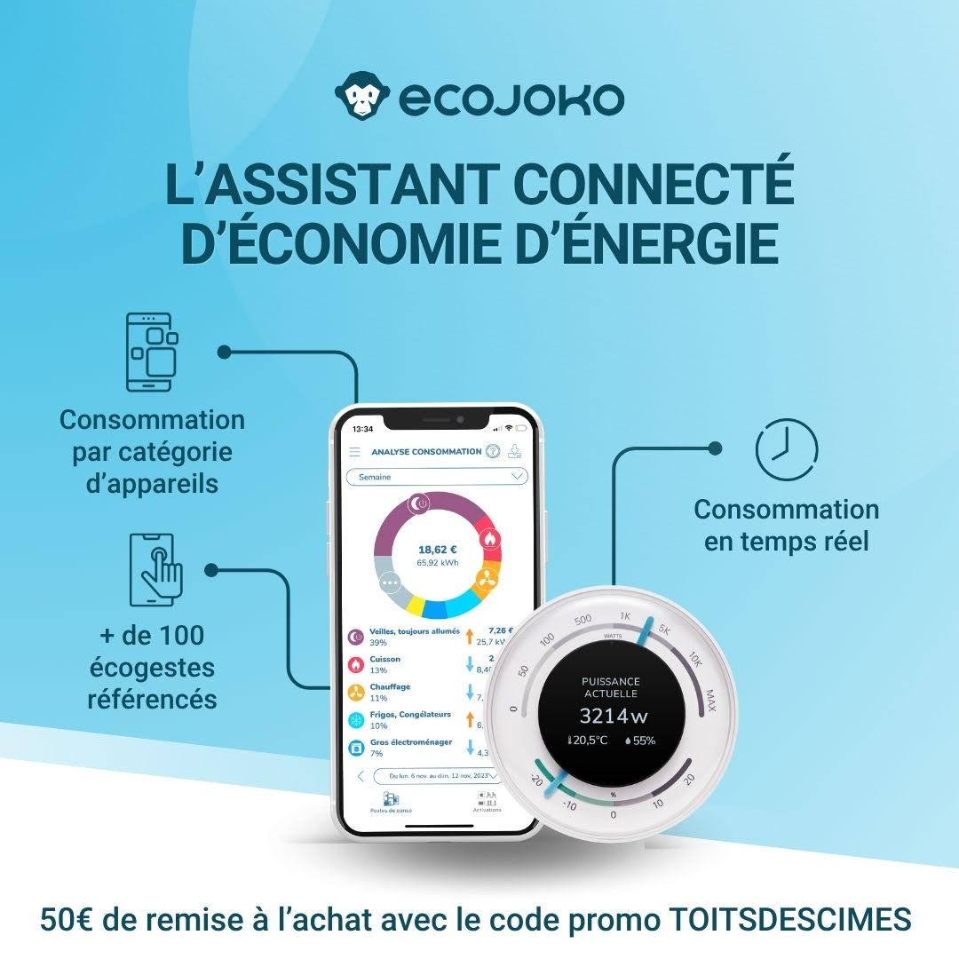 Ecojoko reduction TOITSDESCIMES